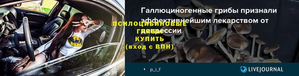 стаф Арсеньев