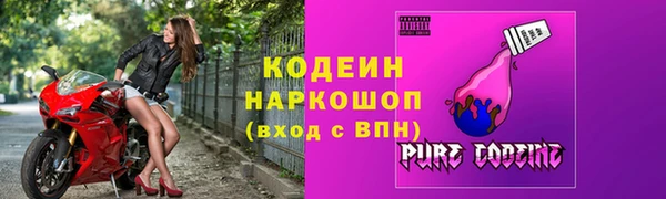 стаф Арсеньев