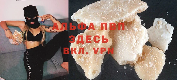стаф Арсеньев