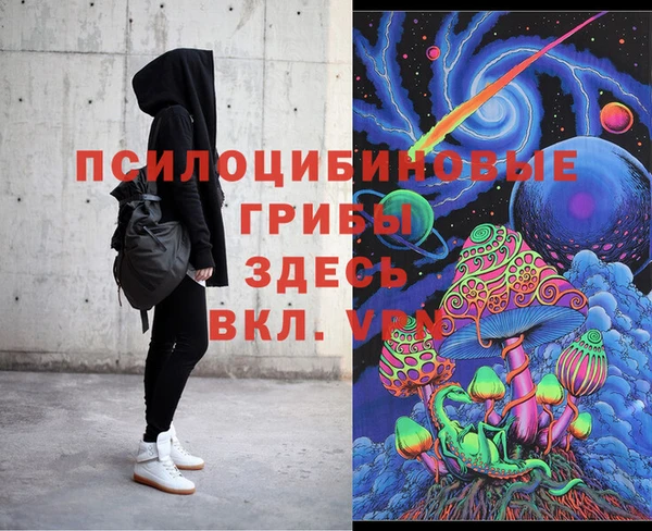 стаф Арсеньев