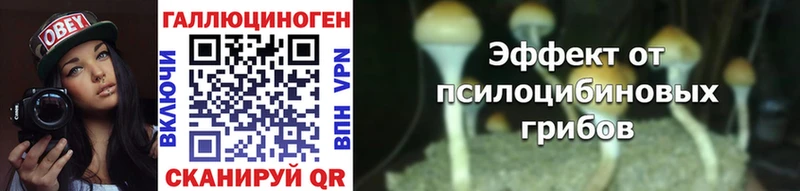 сайты даркнета формула  Новочеркасск  Галлюциногенные грибы ЛСД  mega онион 
